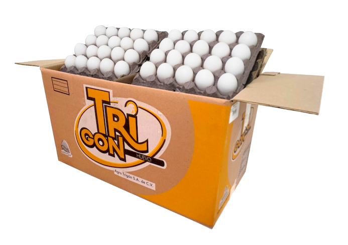 Huevo en cajas de 360